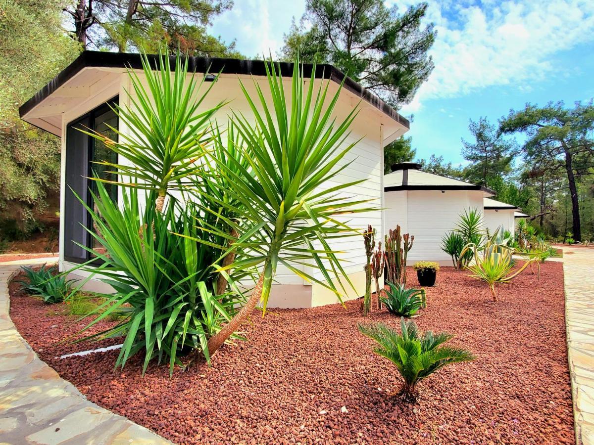 Nomad Lodge Olympos Adults Only Exterior foto
