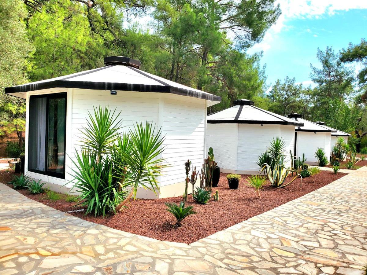 Nomad Lodge Olympos Adults Only Exterior foto